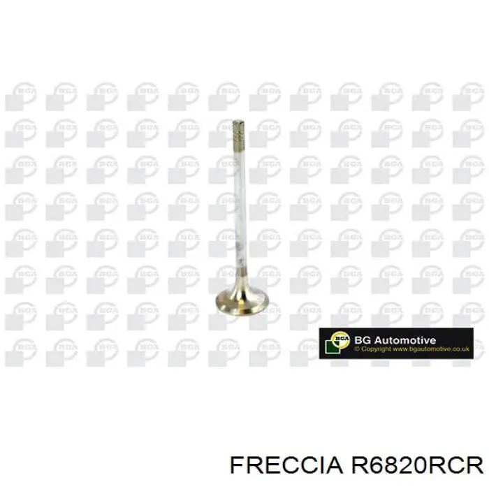 R6820RCR Freccia клапан випускний