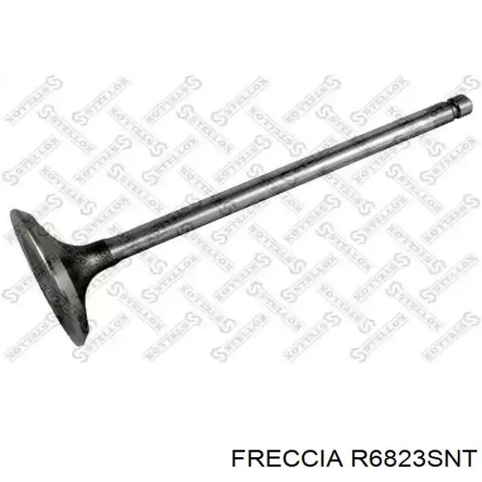 R6823SNT Freccia клапан впускний