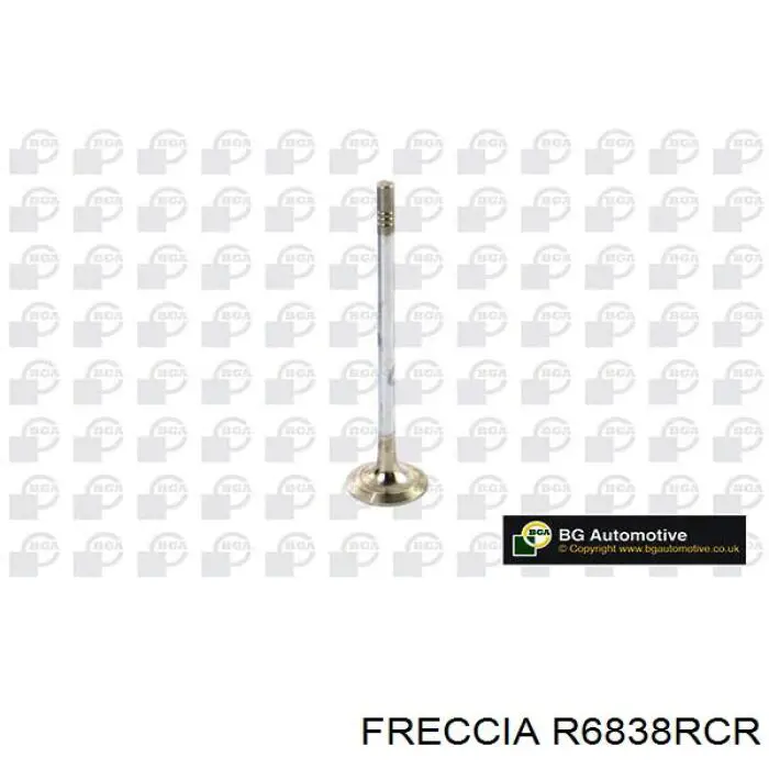 R6838RCR Freccia клапан випускний