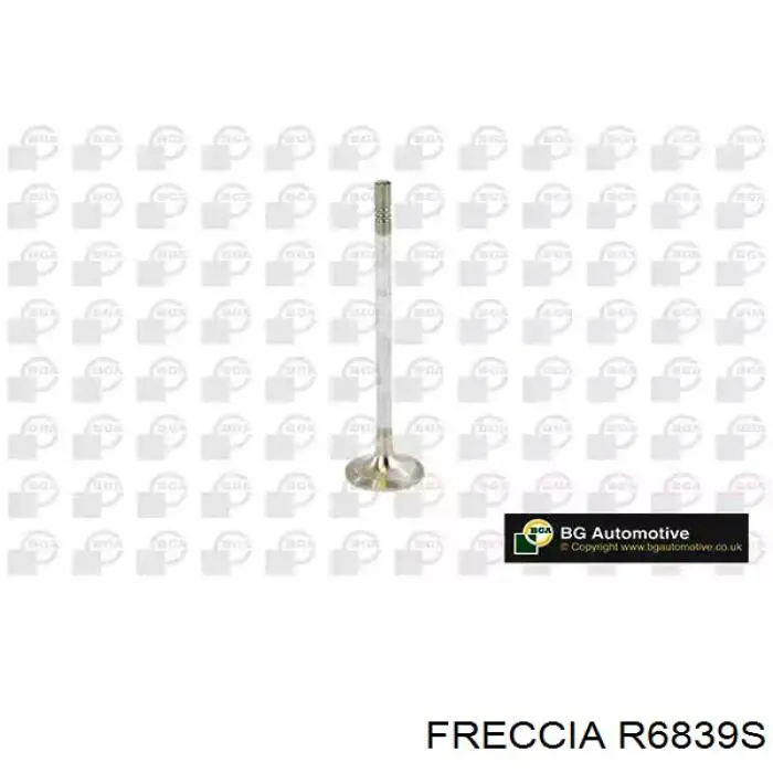 R6839S Freccia клапан впускний