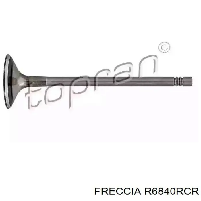 R6840RCR Freccia клапан випускний