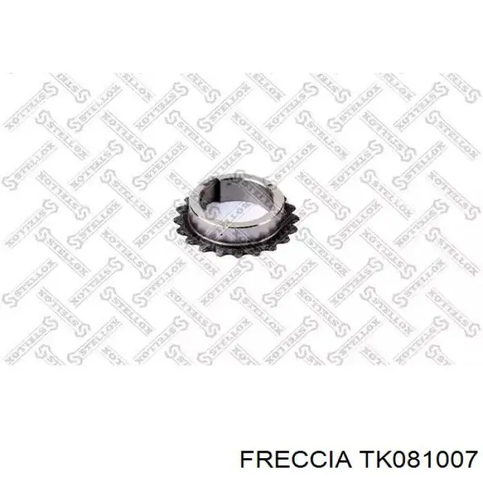 Ланцюг ГРМ, комплект Freccia TK081007