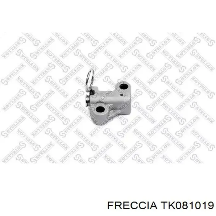 Купити TK081019 Freccia Комплект ланцюга ГРМ