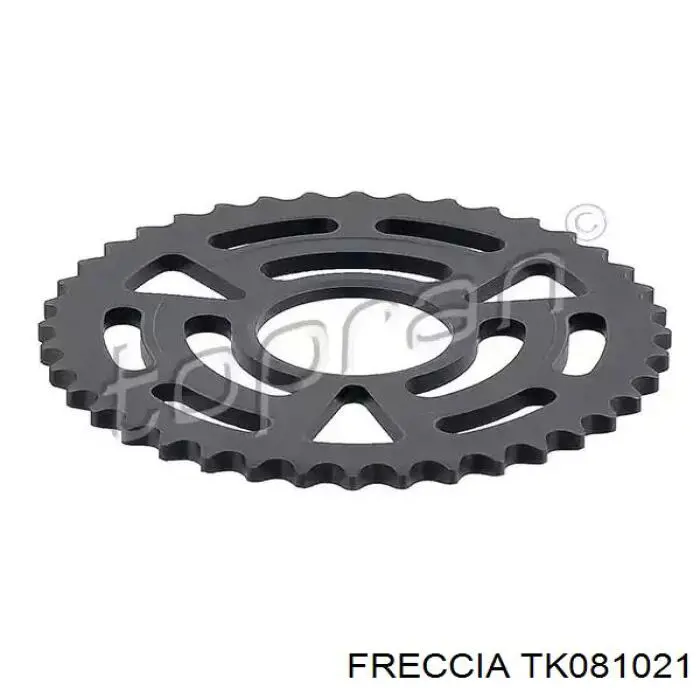 Ланцюг ГРМ, комплект Freccia TK081021