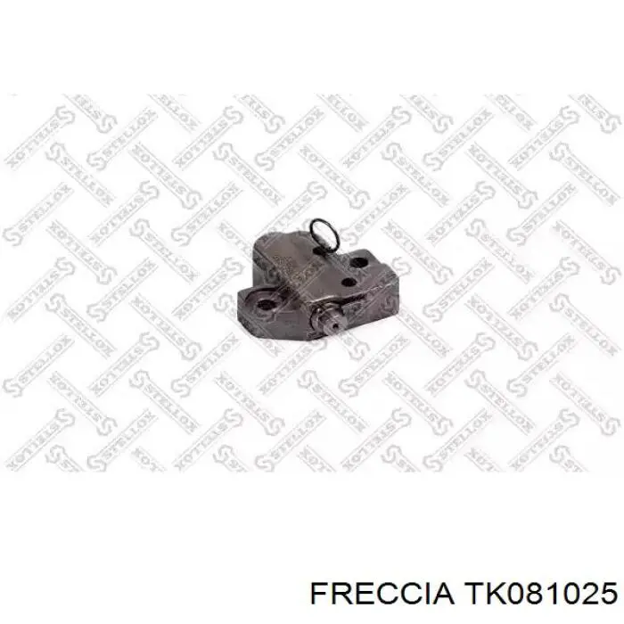 Ланцюг ГРМ, комплект Freccia TK081025