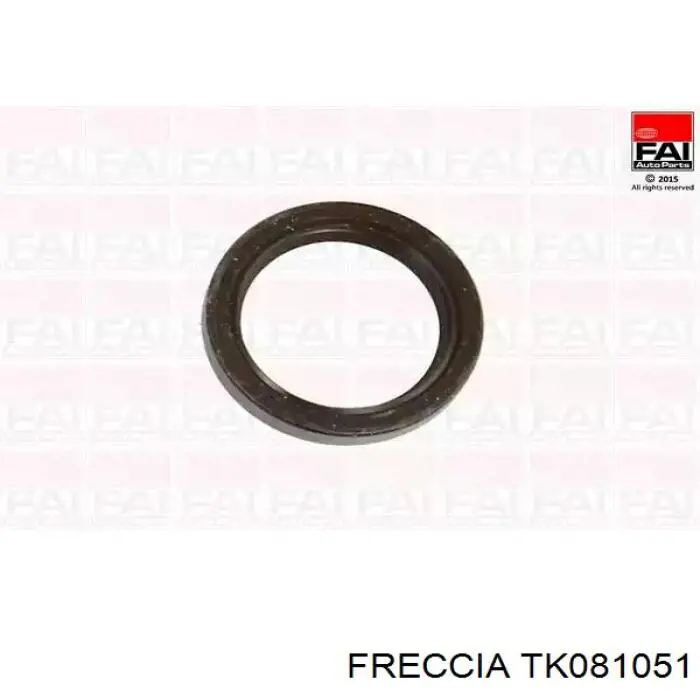Ланцюг ГРМ, комплект Freccia TK081051