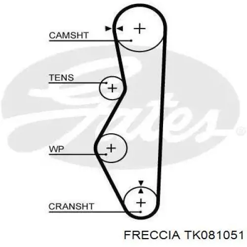 Ланцюг ГРМ, комплект Freccia TK081051 ціна, від 72.13 USD