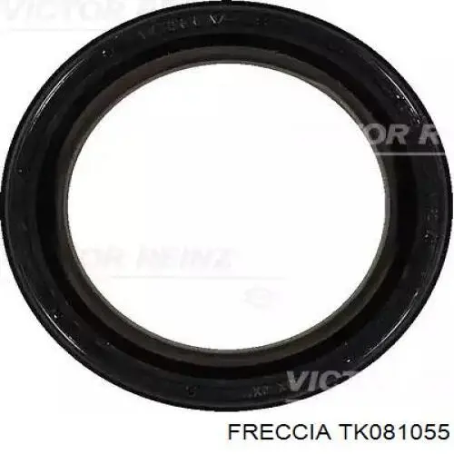 Купити TK081055 Freccia Комплект ланцюга ГРМ
