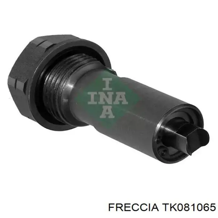 Купити TK081065 Freccia Комплект ланцюга ГРМ