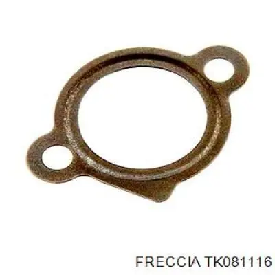 Ланцюг ГРМ, комплект Freccia TK081116