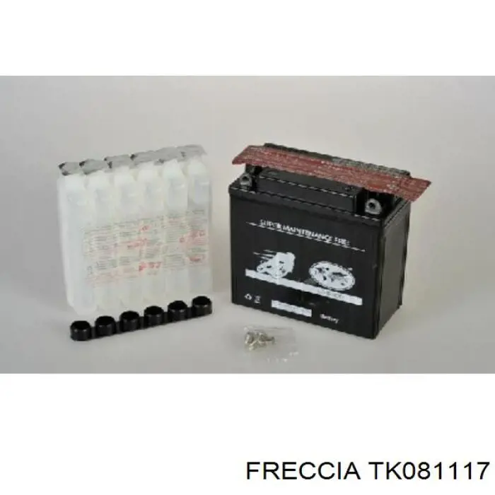 Комплект ланцюга ГРМ TK081117 Freccia
