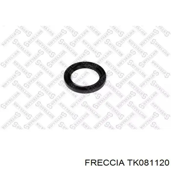 Купити TCK261 FAI Комплект ланцюга ГРМ