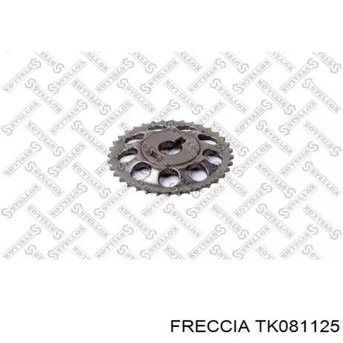 Ланцюг ГРМ, комплект Freccia TK081125