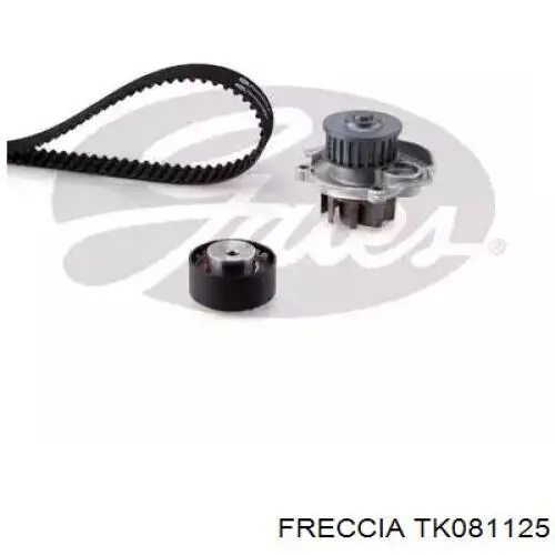 Ланцюг ГРМ, комплект Freccia TK081125 ціна, від 98.59 USD
