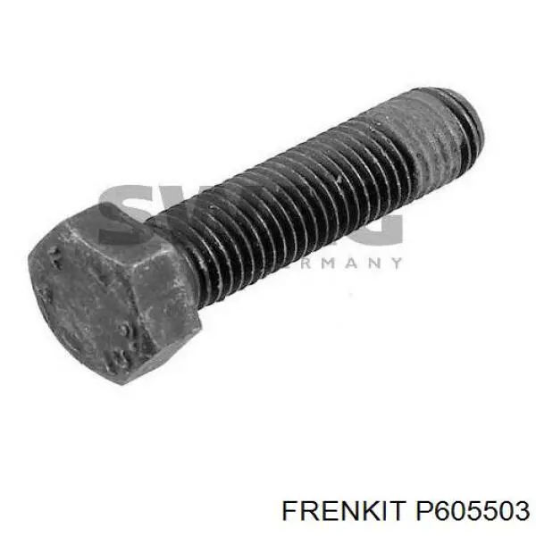 Поршень супорта гальмівного, переднього Frenkit P605503 ціна, від 10.66 USD