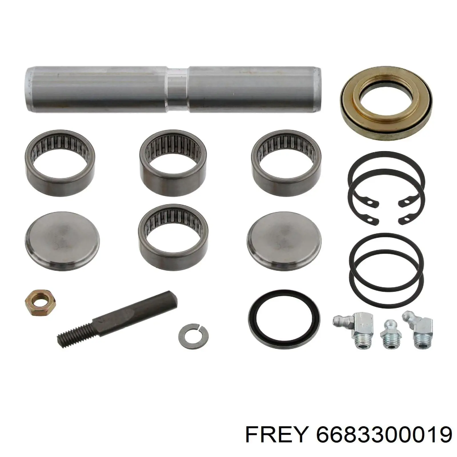 6683300019 Frey Ремкомплект шкворня поворотного кулака