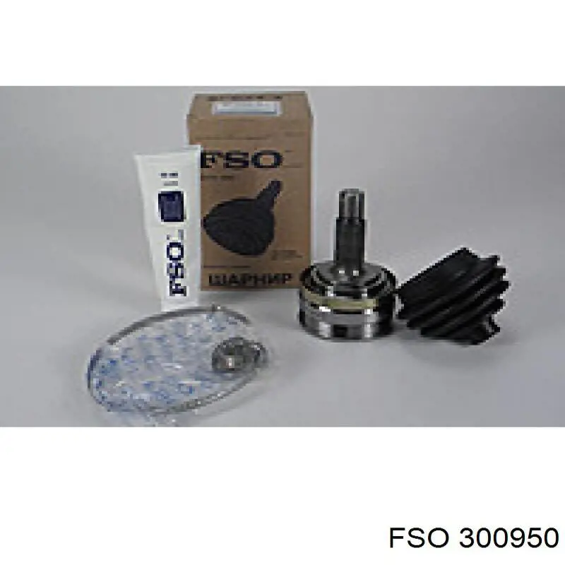  300950 FSO