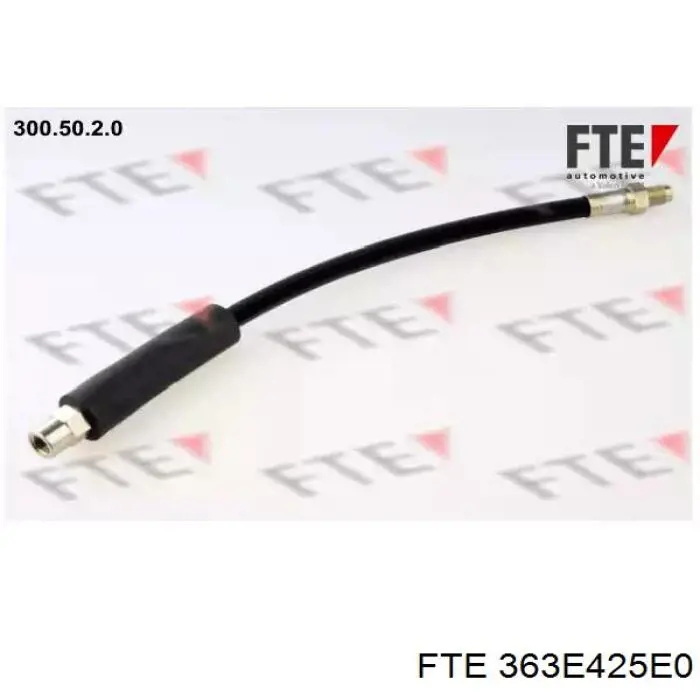 363E425E0 FTE 