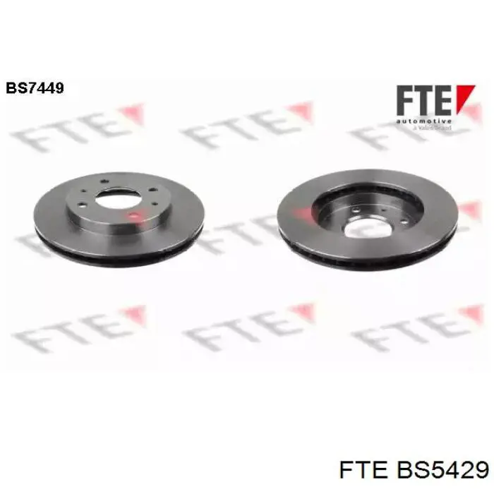 BS5429 FTE Дискові гальма