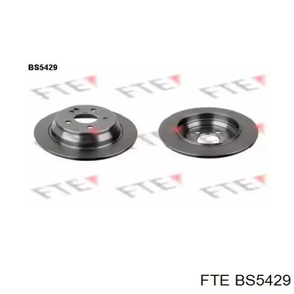 BS5429 FTE Дискові гальма