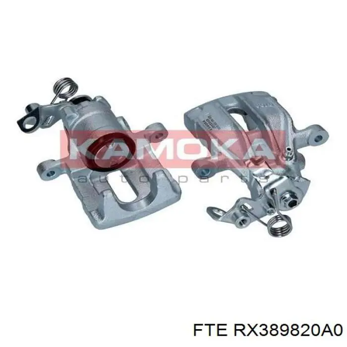 Супорт задній лівий RX389820A0 FTE