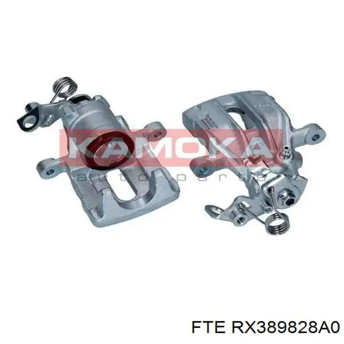 Супорт задній лівий RX389828A0 FTE