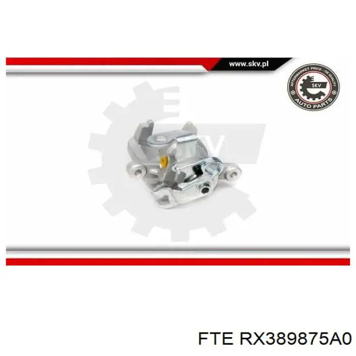 Супорт задній лівий RX389875A0 FTE