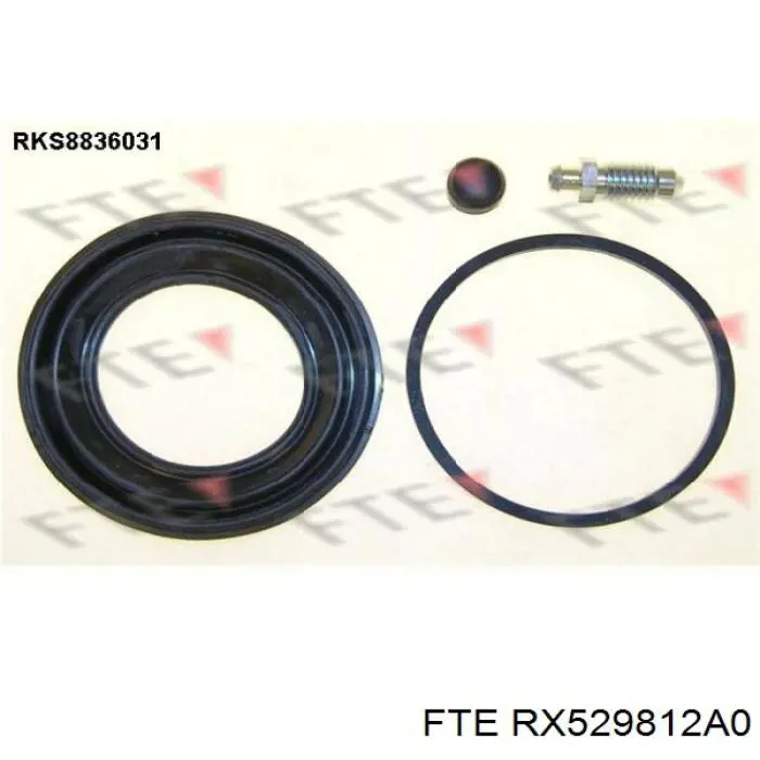 Супорт гальмівний задній правий FTE RX529812A0 ціна, від 48.01 USD