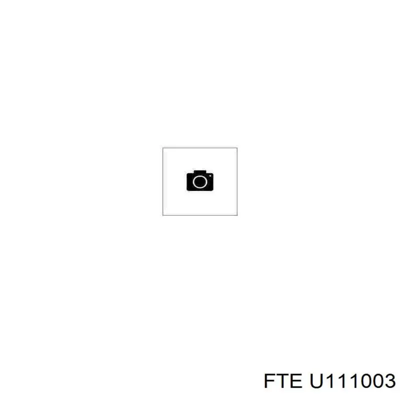 Підсилювач (гідровакуумний) U111003 FTE