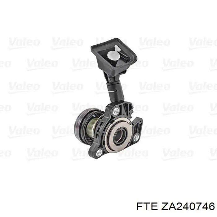 ZA240746 FTE 