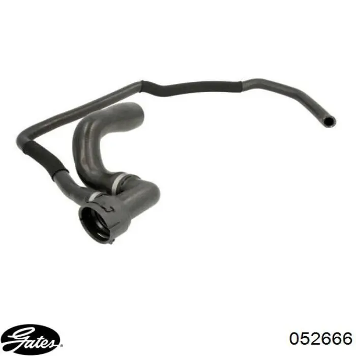 Шланг/патрубок радіатора охолодження, нижній Thermotec DWX229TT ціна, від 28.75 USD