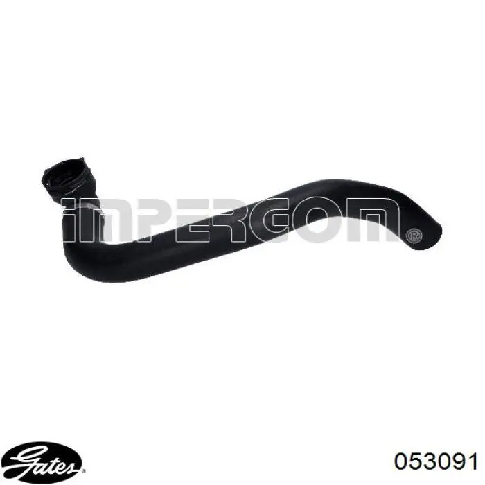 Купити 51898745 Fiat/Alfa/Lancia Шланг/патрубок радіатора охолодження, нижній