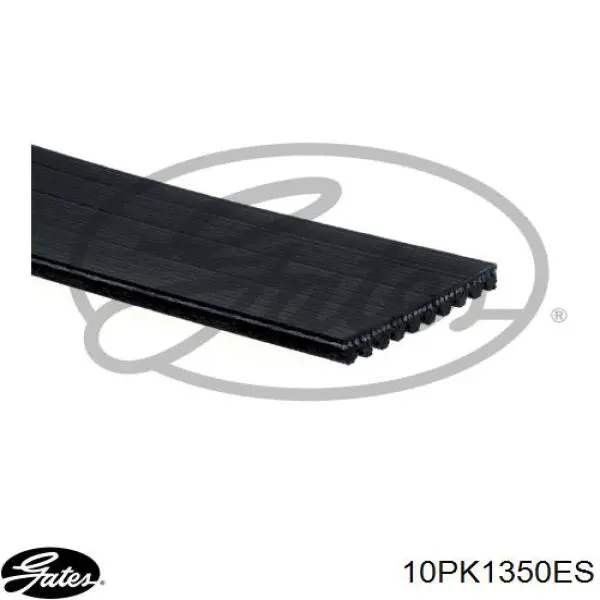 Клиновий ремінь Gates 10PK1350HD ціна, від 17.36 USD