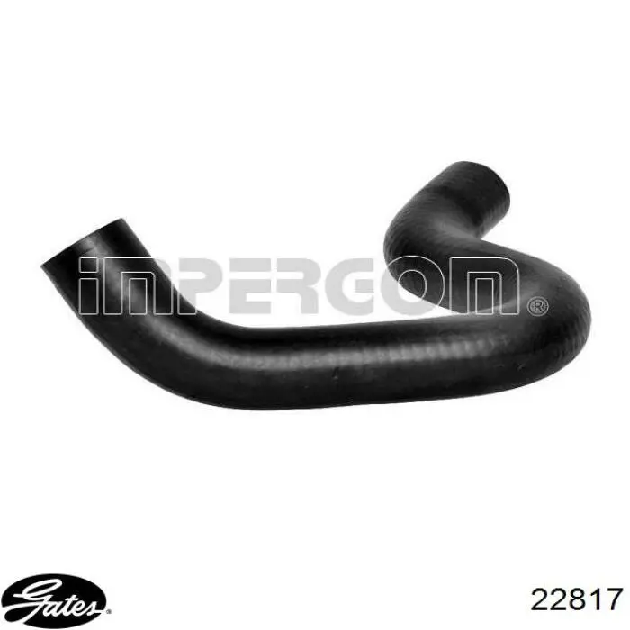 Купити 3406441 Sasic Шланг/патрубок радіатора охолодження, верхній