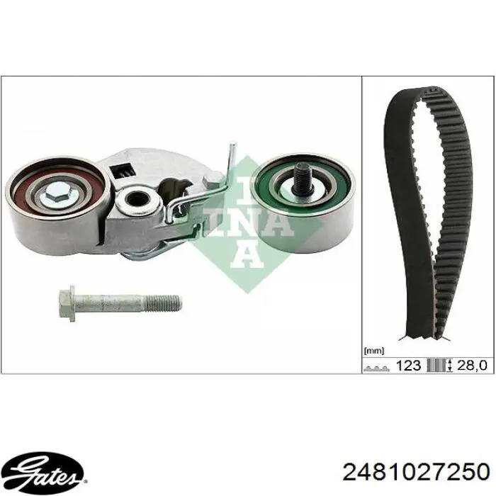 Купити Z08BRGSD00073 KAP Ролик паразитний ГРМ