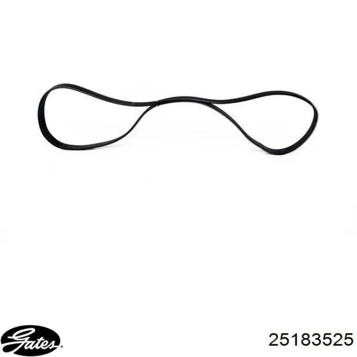 Ремінь генератора 55189677 Fiat/Alfa/Lancia