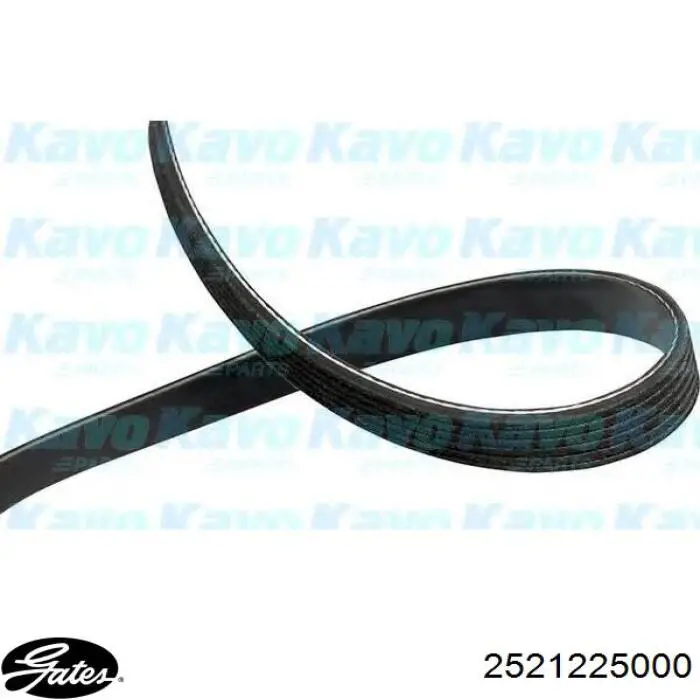Купити S2521225000 Hyundai/Kia Ремінь генератора