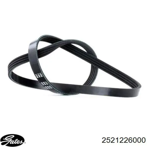 Купити S2521226021 Hyundai/Kia Ремінь генератора