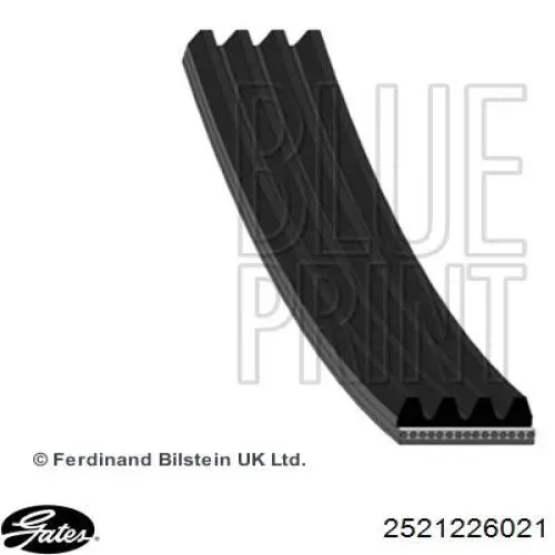 Клиновий ремінь Honda 56992P1JE01 ціна, від 6.29 USD
