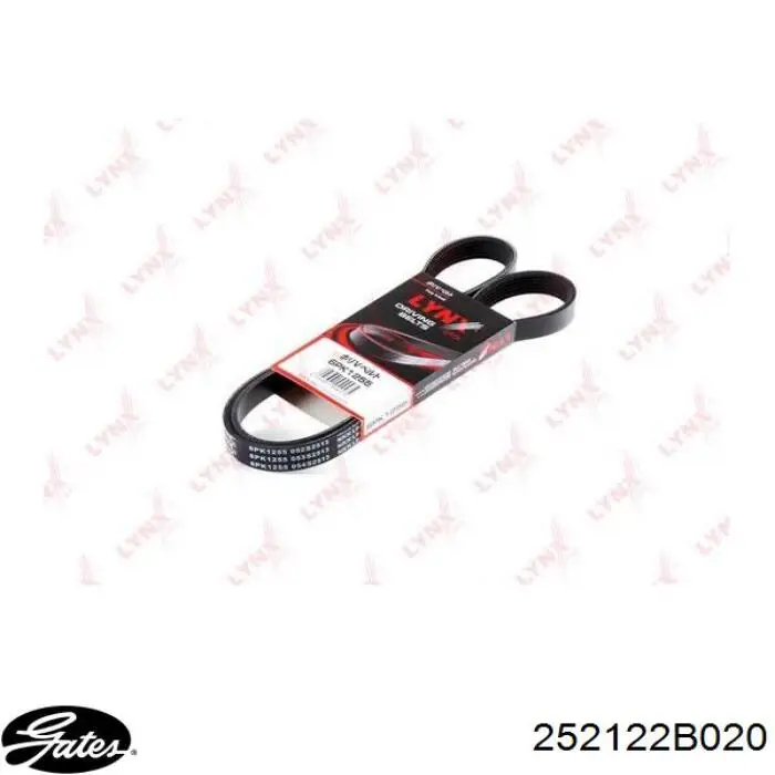 Купити 252122B020 Gates Ремінь генератора