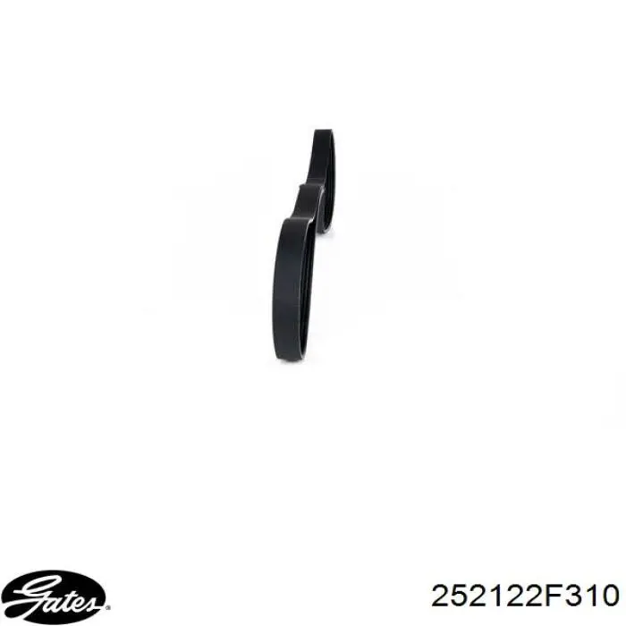 Клиновий ремінь Gates 252122F310 ціна, від 24.70 USD