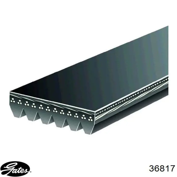 Купити BL3Z8678D Ford 