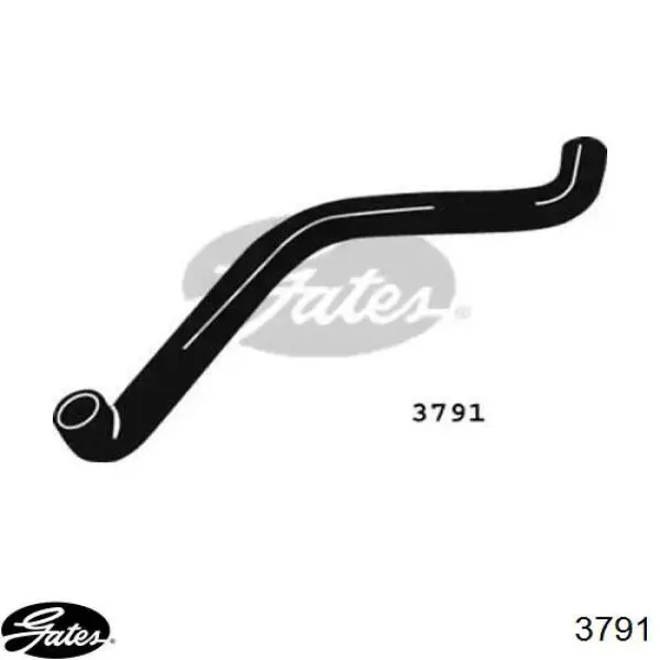 Купити 7609905 Fiat/Alfa/Lancia Шланг/патрубок радіатора охолодження, нижній