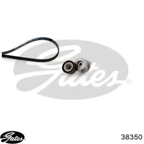 Клиновий ремінь Starline SSR3PK813 ціна, від 5.41 USD