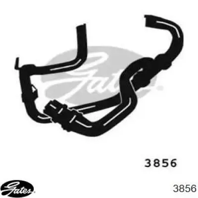 Шланг/патрубок радіатора охолодження, верхній Gates 3856 ціна, від 46.28 USD