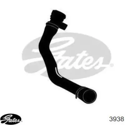 Купити 11531436409 BMW Шланг/патрубок радіатора охолодження, нижній