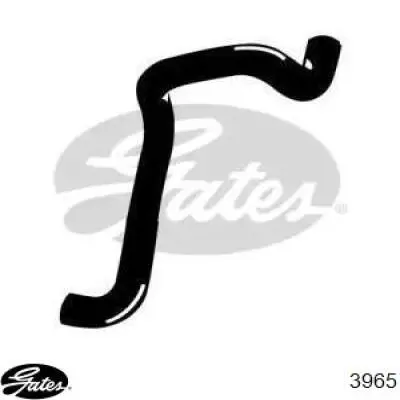 Шланг/патрубок радіатора охолодження, верхній Gates 3965 ціна, від 7.77 USD
