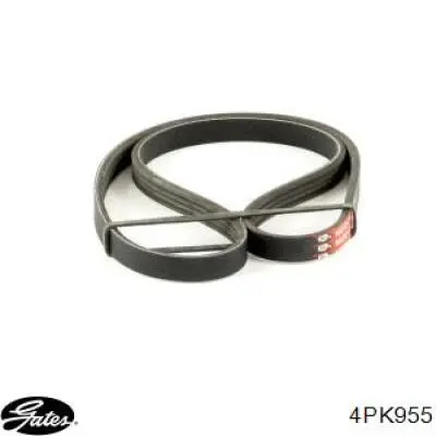 Ремінь кондиціонера Gates 4PK955