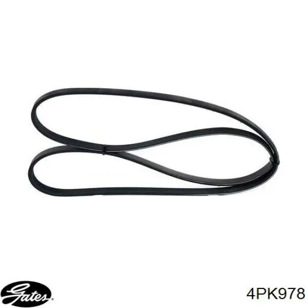 Купити 4573737 Chrysler Ремінь генератора