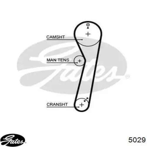 Зубчастий ремінь Gates 5029 ціна, від 4.46 USD